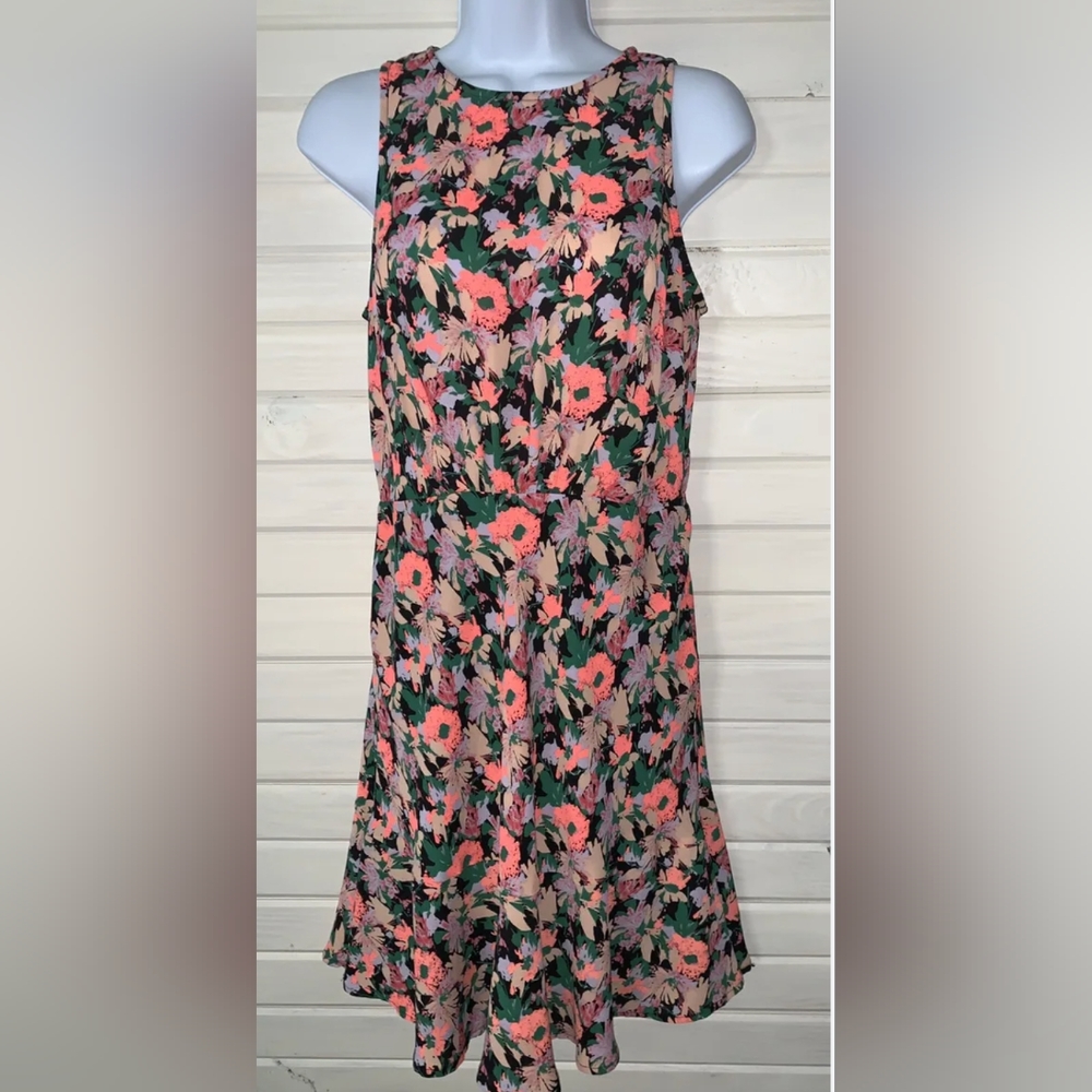 JCrew Multicolor Dress